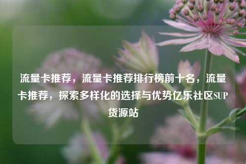流量卡推荐	，流量卡推荐排行榜前十名，流量卡推荐，探索多样化的选择与优势亿乐社区SUP货源站  第1张
