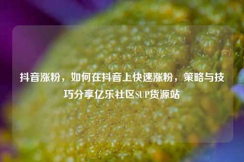 抖音涨粉，如何在抖音上快速涨粉，策略与技巧分享亿乐社区SUP货源站  第1张